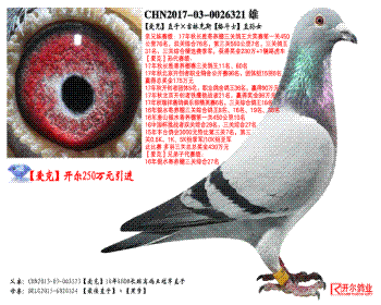 ˡֱӡֿ˹ʿֱŮ