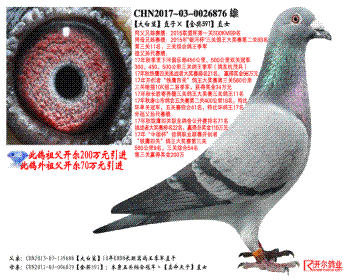衿ֱӡ591ֱŮ