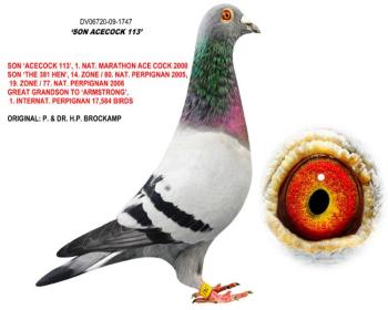 Ǹҵ۸113ֱ747
