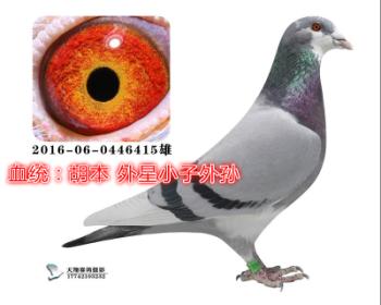 С