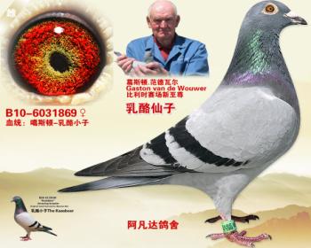 ӡ-˹٣СֱŮ