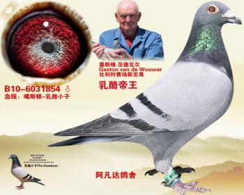 ҵ-˹СѪϵ
