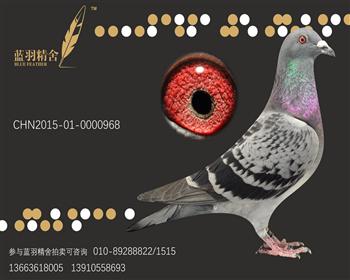 詹森X慕利门
