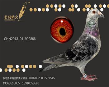 桑杰士866