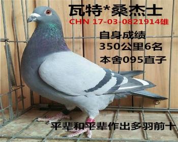 6 *ɣʿ914