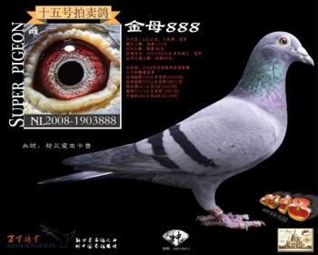 ĸ888