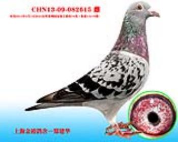 800֣ݹϺ70