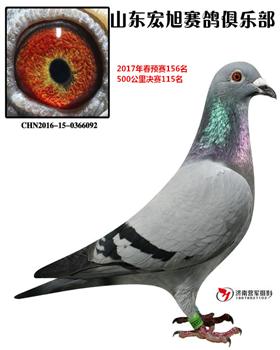2017괺500115
