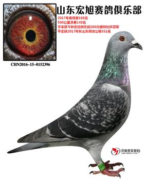 2017괺500148