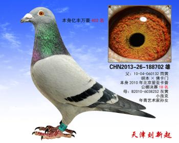 Ҽڷ402702