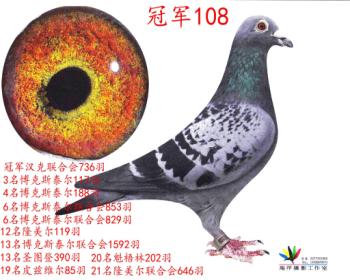 ھ108