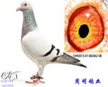 Ῠ5000Ѫ