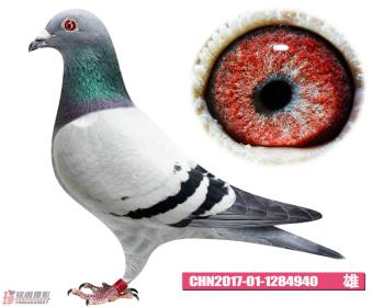 940