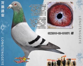 CHN2010-02-090571