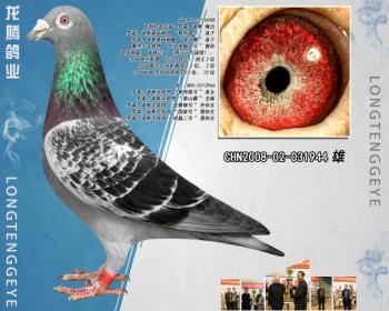 CHN2008-02-031944