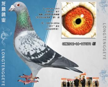 CHN2012-06-197370