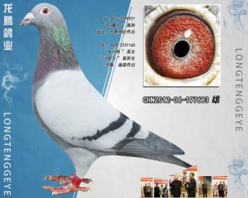 CHN2012-06-197683