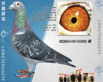 CHN2014-06-166008