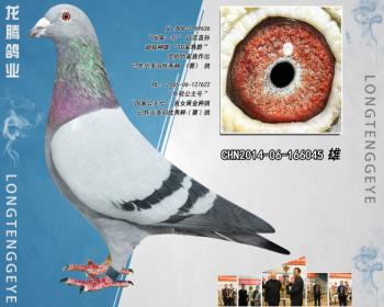 CHN2014-06-166045