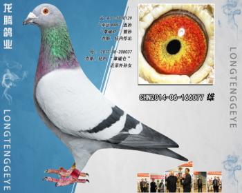 CHN2014-06-166077