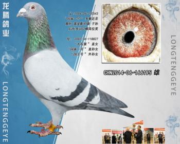 CHN2014-06-166195