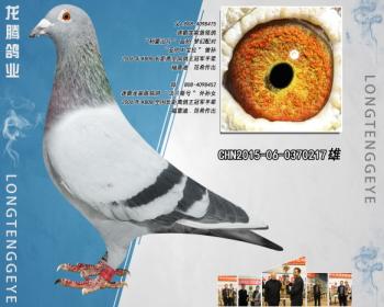 CHN2015-06-0370217