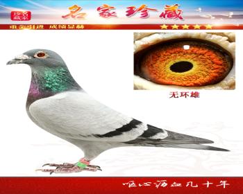 ޻