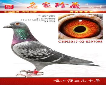 һXղɭС098