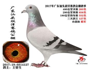 㶫203