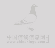 㶫101